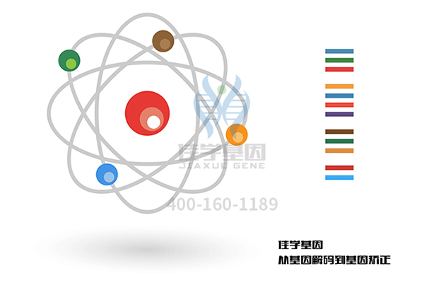 【佳学基因案例】软骨发育不全基因检测、基因解码